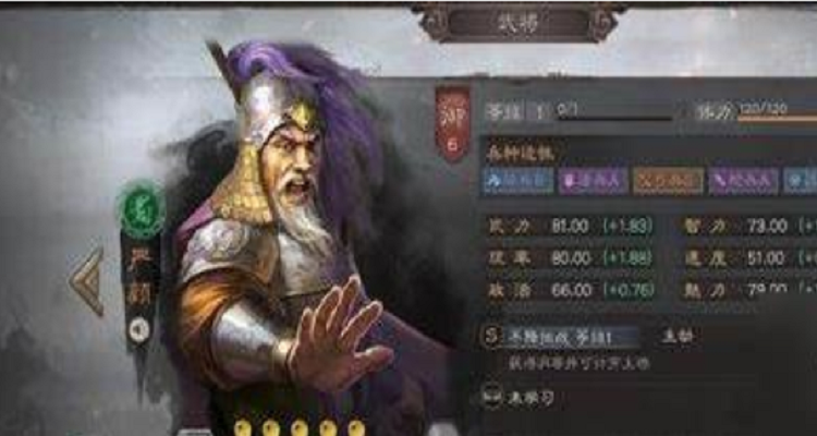 三国志严颜有用吗(严国栋版三国志攻略)